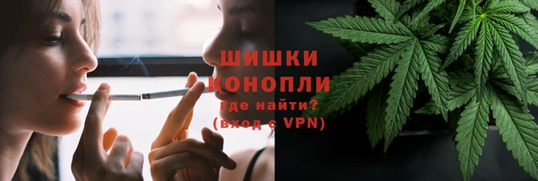 Альфа ПВП Лагань
