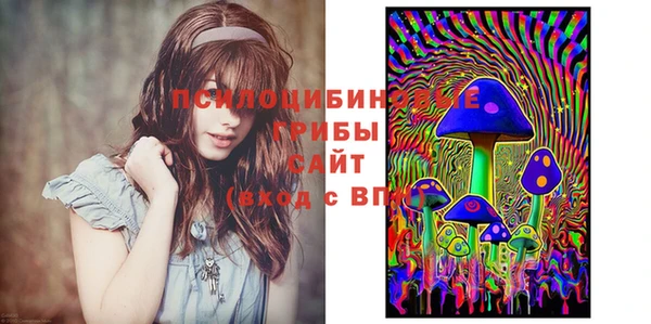 гидропоника Ладушкин