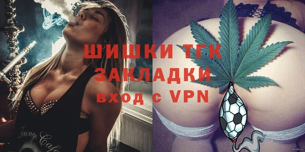Альфа ПВП Лагань