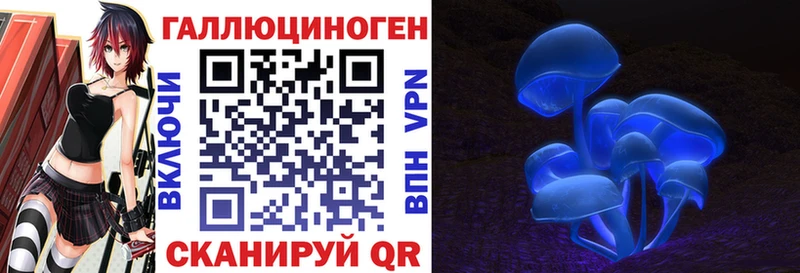 Галлюциногенные грибы Cubensis  Нижний Ломов 